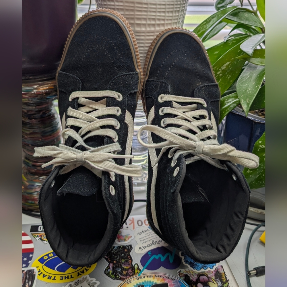Men's Suede Vans